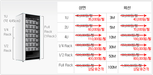 상면/회선